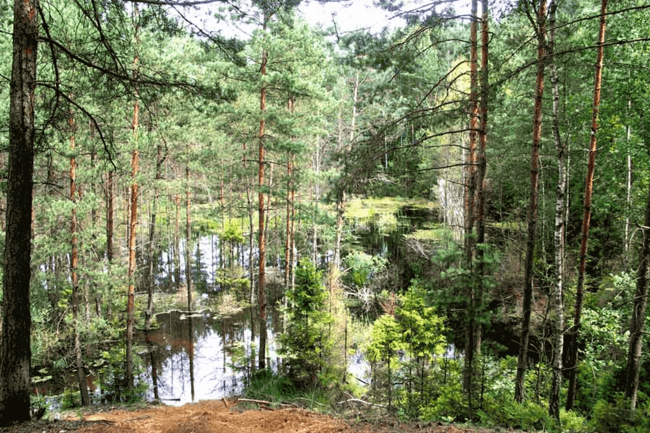 Kolorowe jeziorka w Bibieli