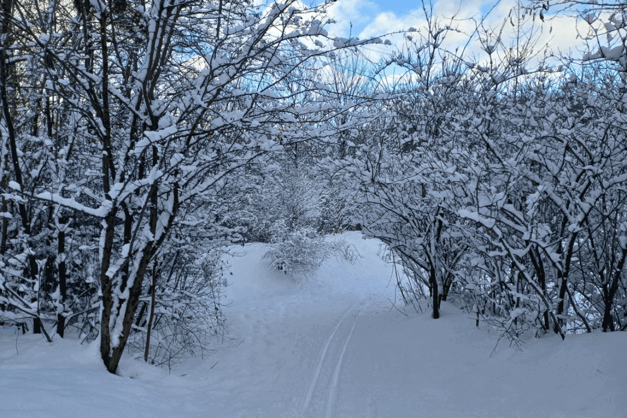 Śląski Ogród Botaniczny w Radzionkowie