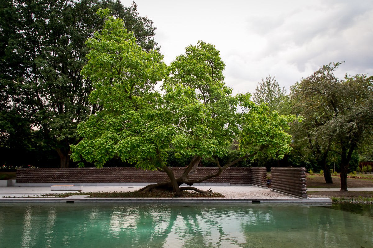 Ogród Japoński, Park Śląski