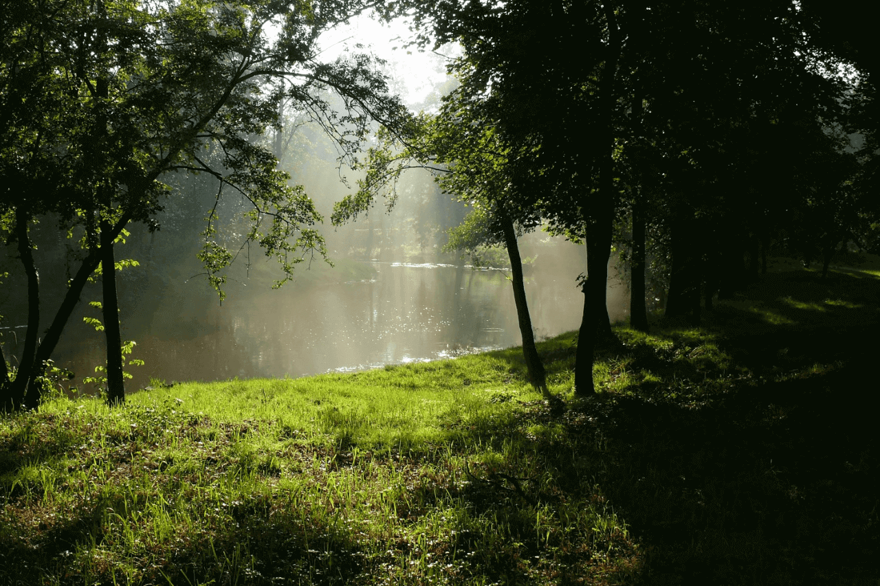 Atrakcje Krupskiego Młyna