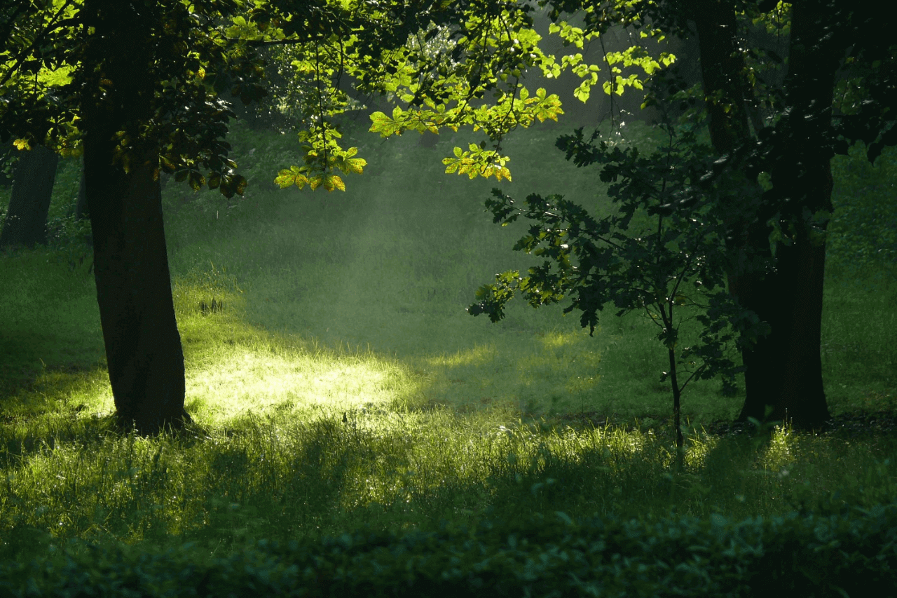 Atrakcje Krupskiego Młyna