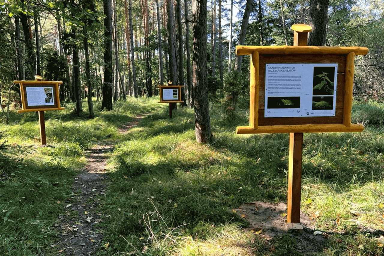 Nowa atrakcja turystyczna w Kaletach