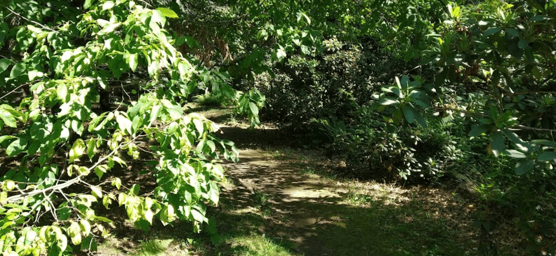 Ogród botaniczny w Brynku