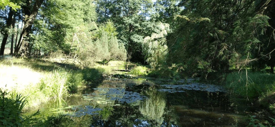 Ogród botaniczny w Brynku