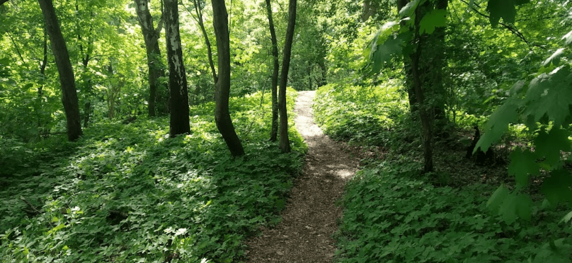 Park Miejski w Tarnowskich Górach