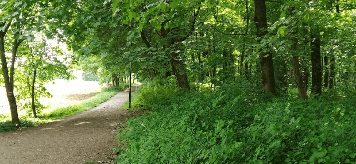 Park Miejski w Tarnowskich Górach