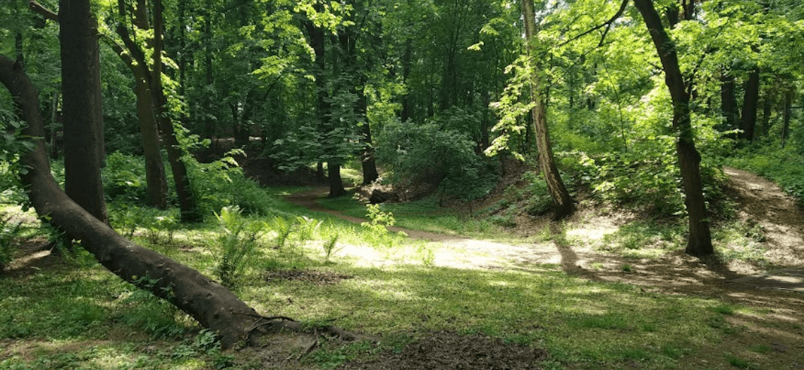 Park Miejski w Tarnowskich Górach