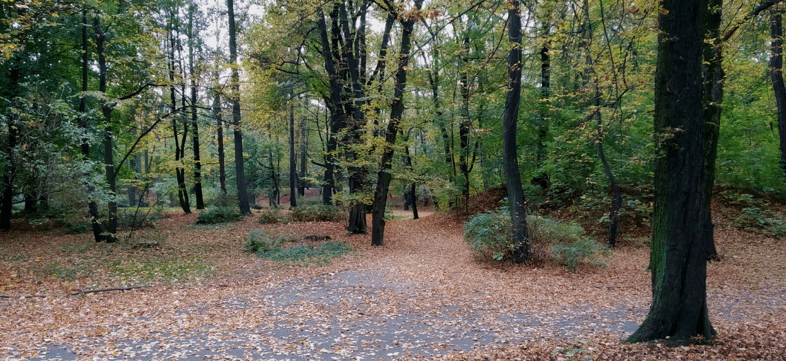 Park Miejski w Tarnowskich Górach 5