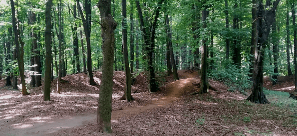 Park Miejski w Tarnowskich Górach