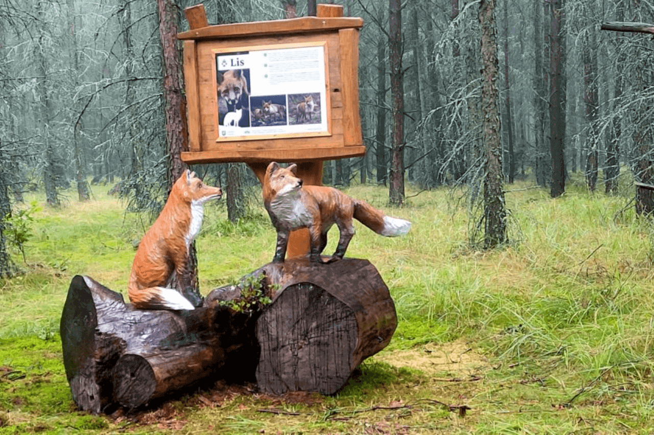 Rowerowe atrakcje w Kaletach 1