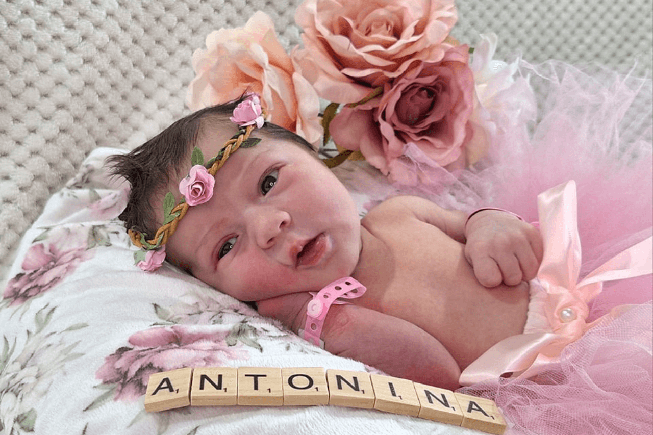 Antonina