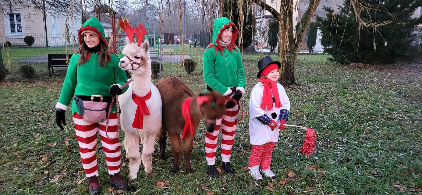 Jarmark w Miasteczku Śląskim