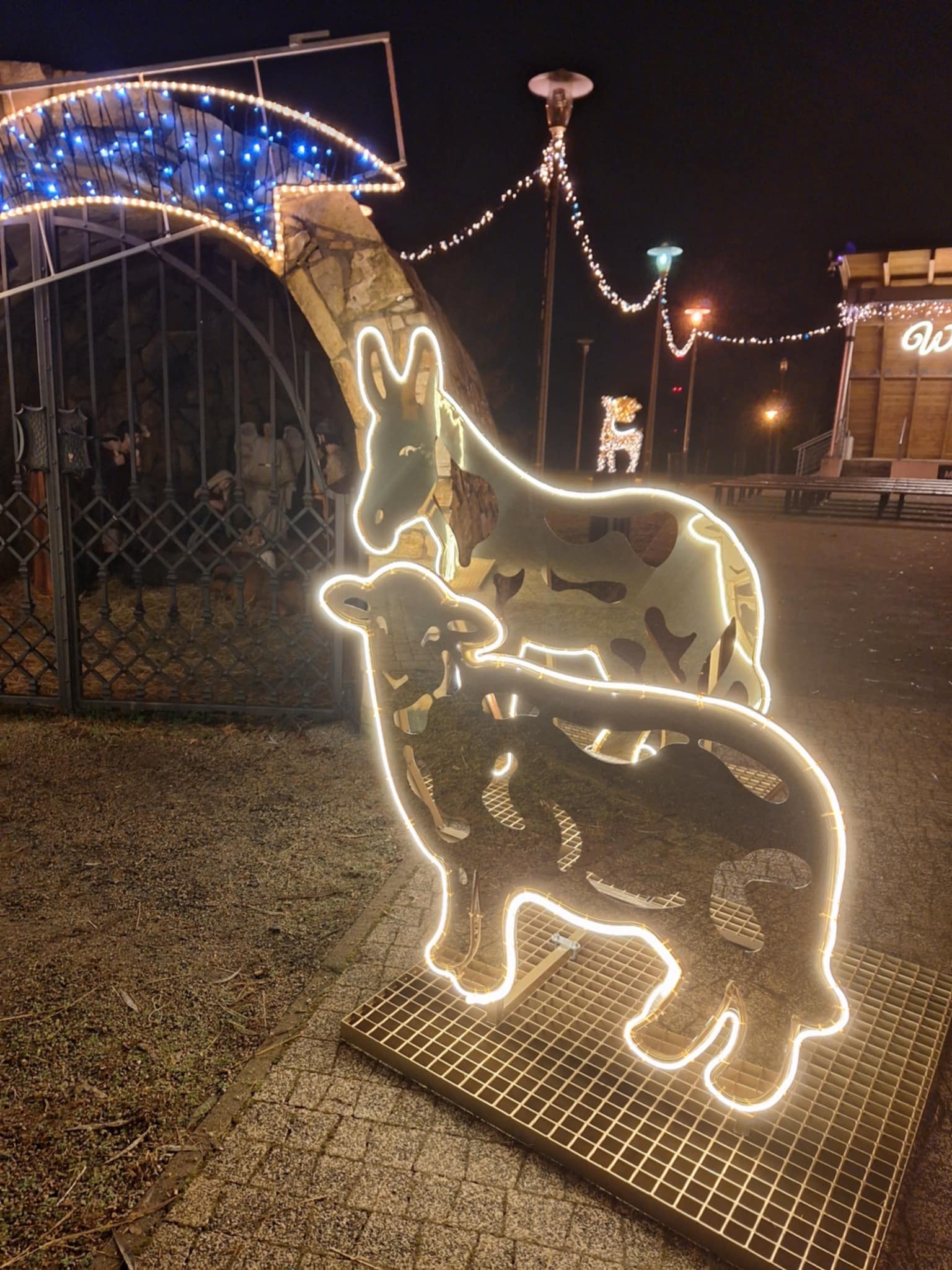 Park Rubina w Miasteczku Śląskim