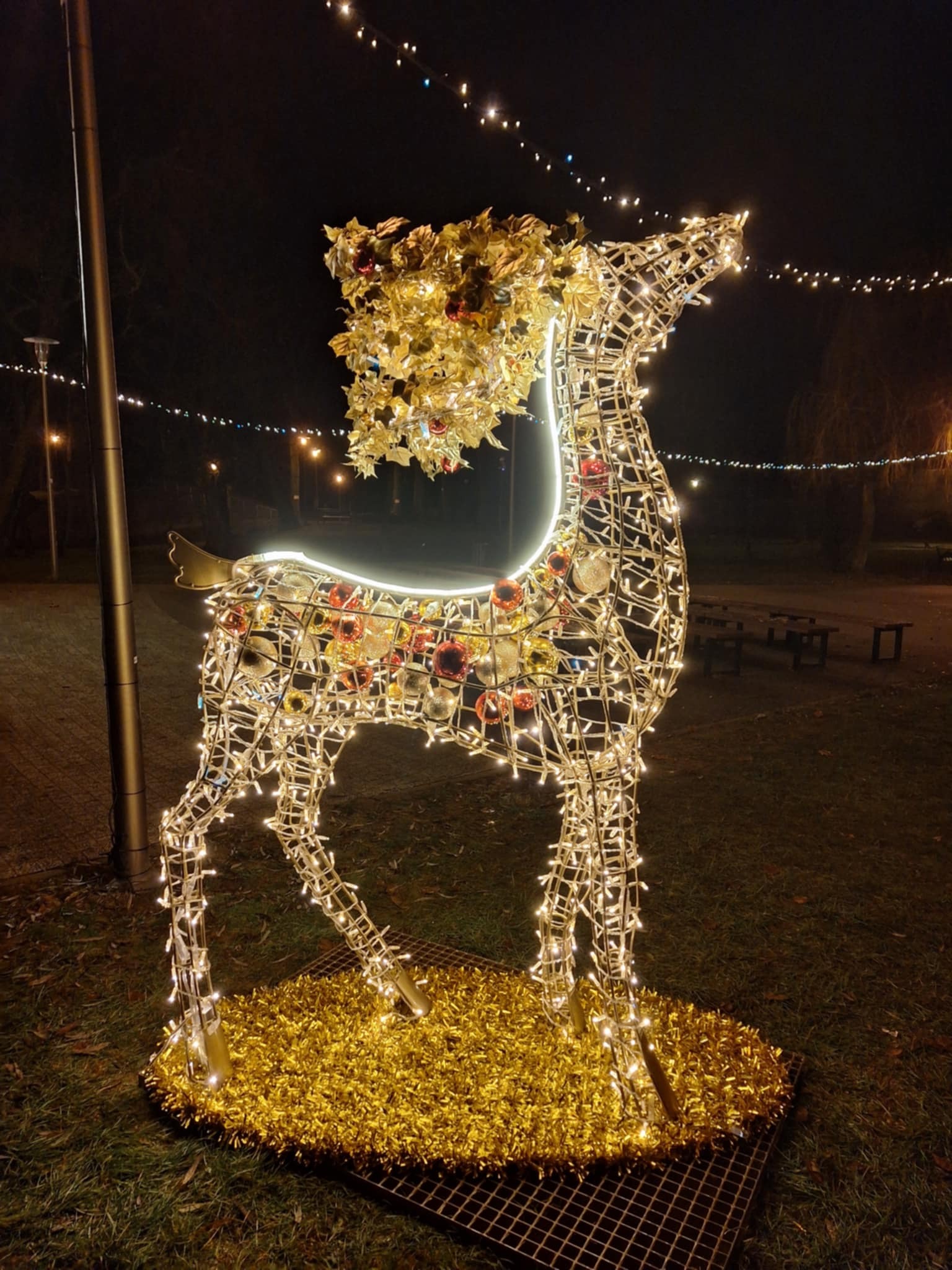 Park Rubina w Miasteczku Śląskim