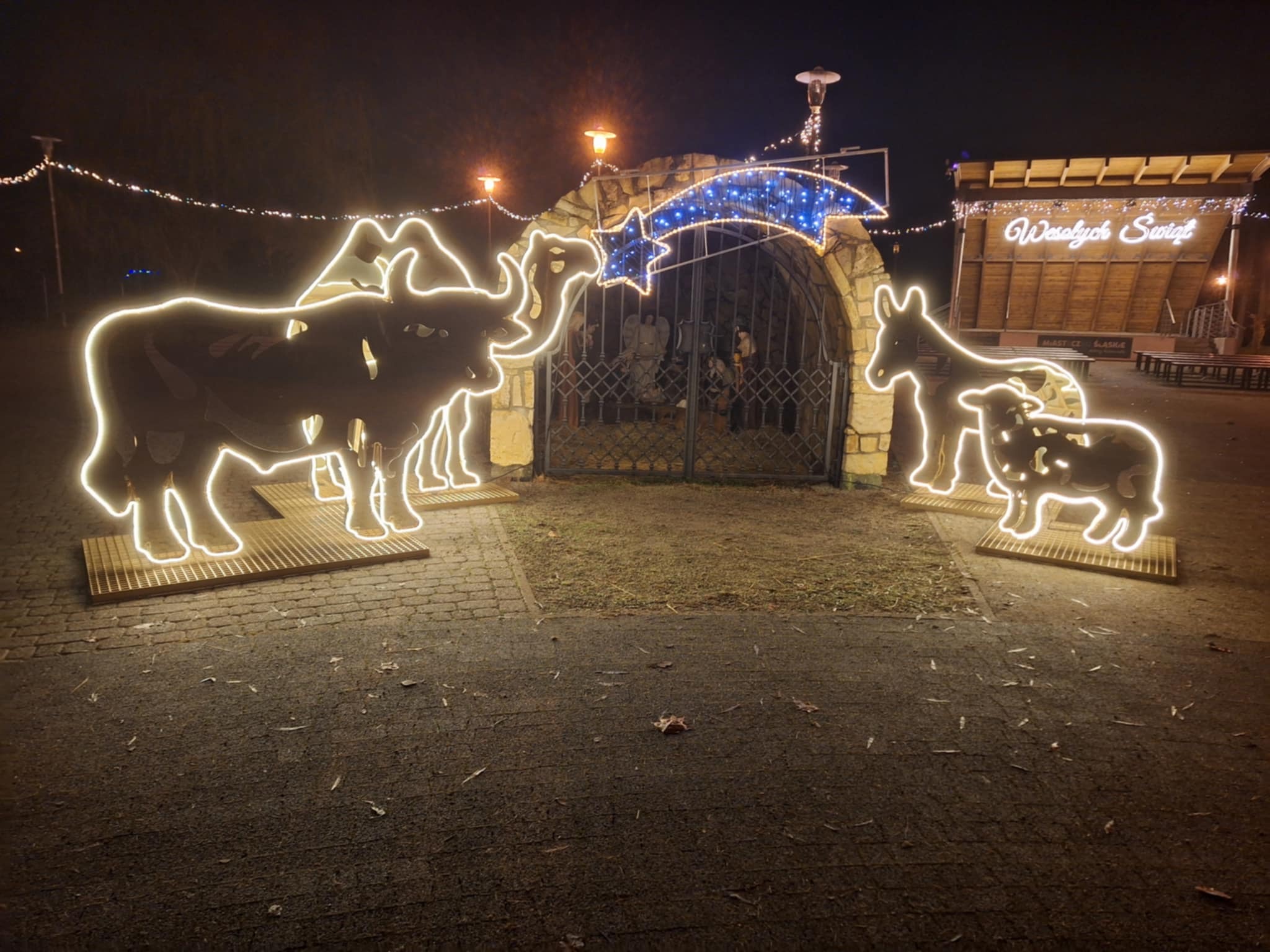 Park Rubina w Miasteczku Śląskim