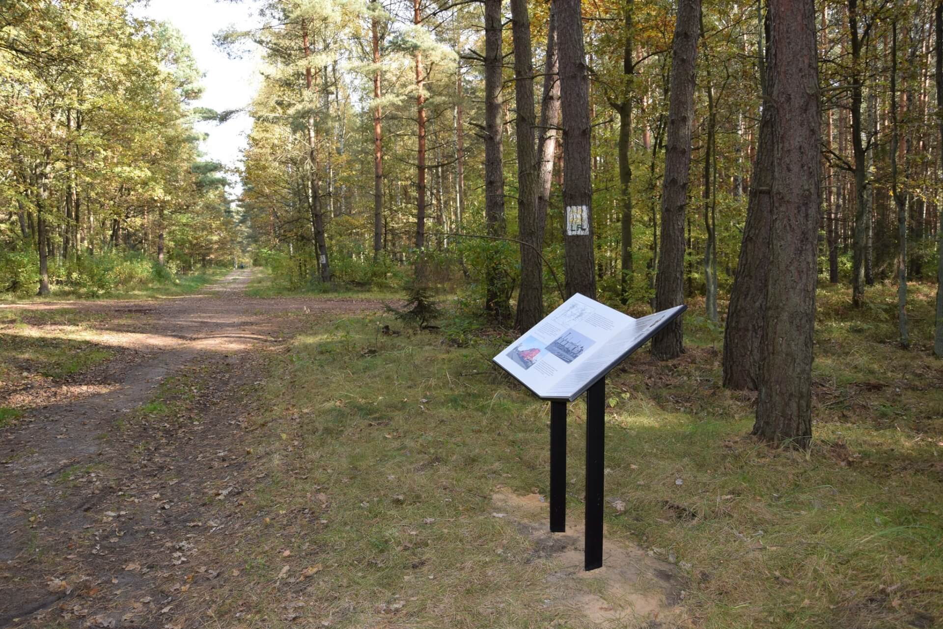 Ścieżka edukacyjna w Miasteczku Śląskim