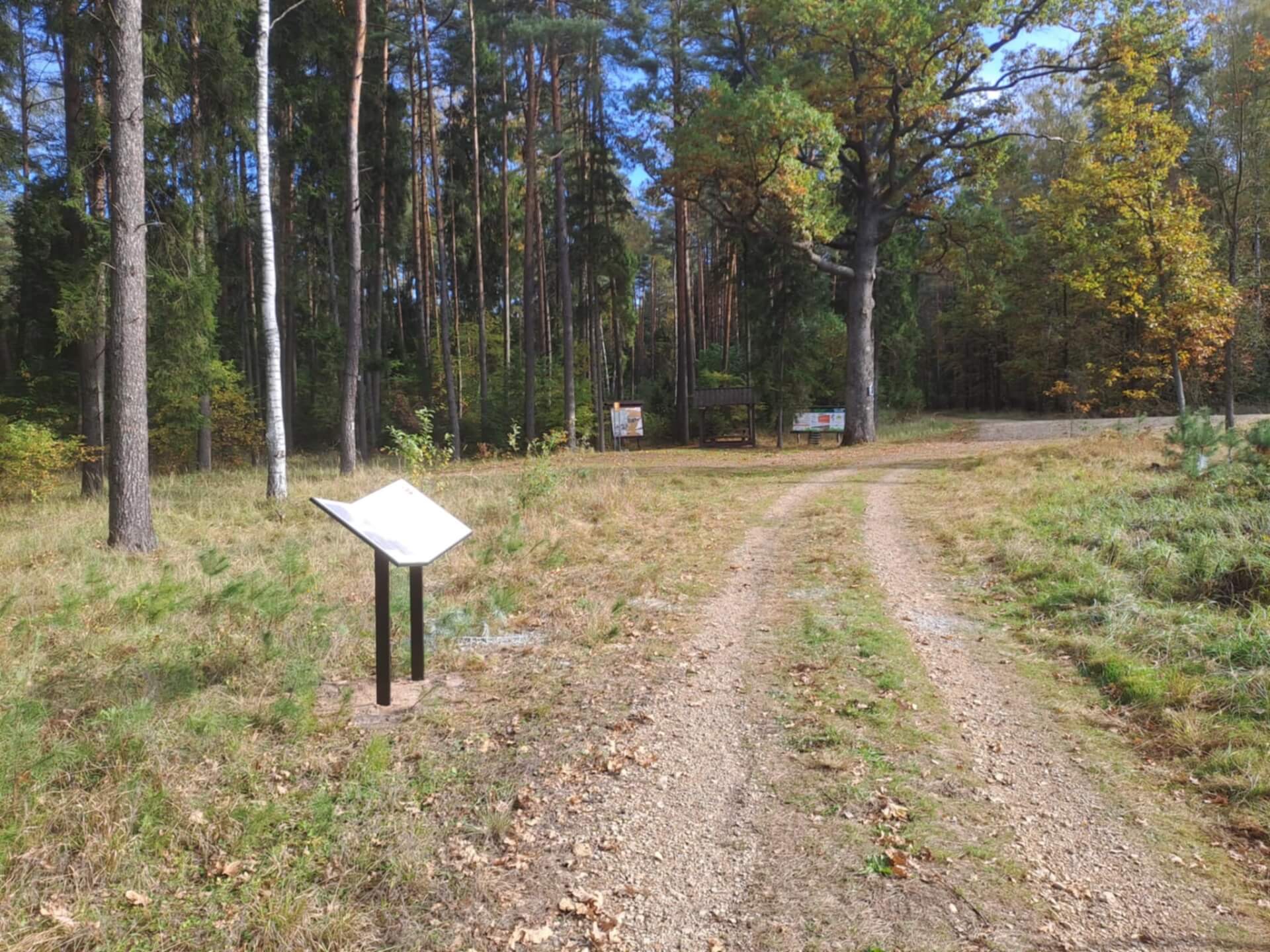 Ścieżka edukacyjna w Miasteczku Śląskim