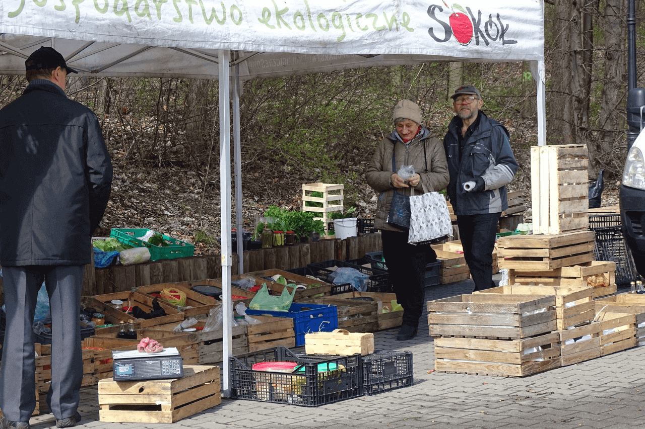 Śląski Ogród Botaniczny na wiosnę 2024