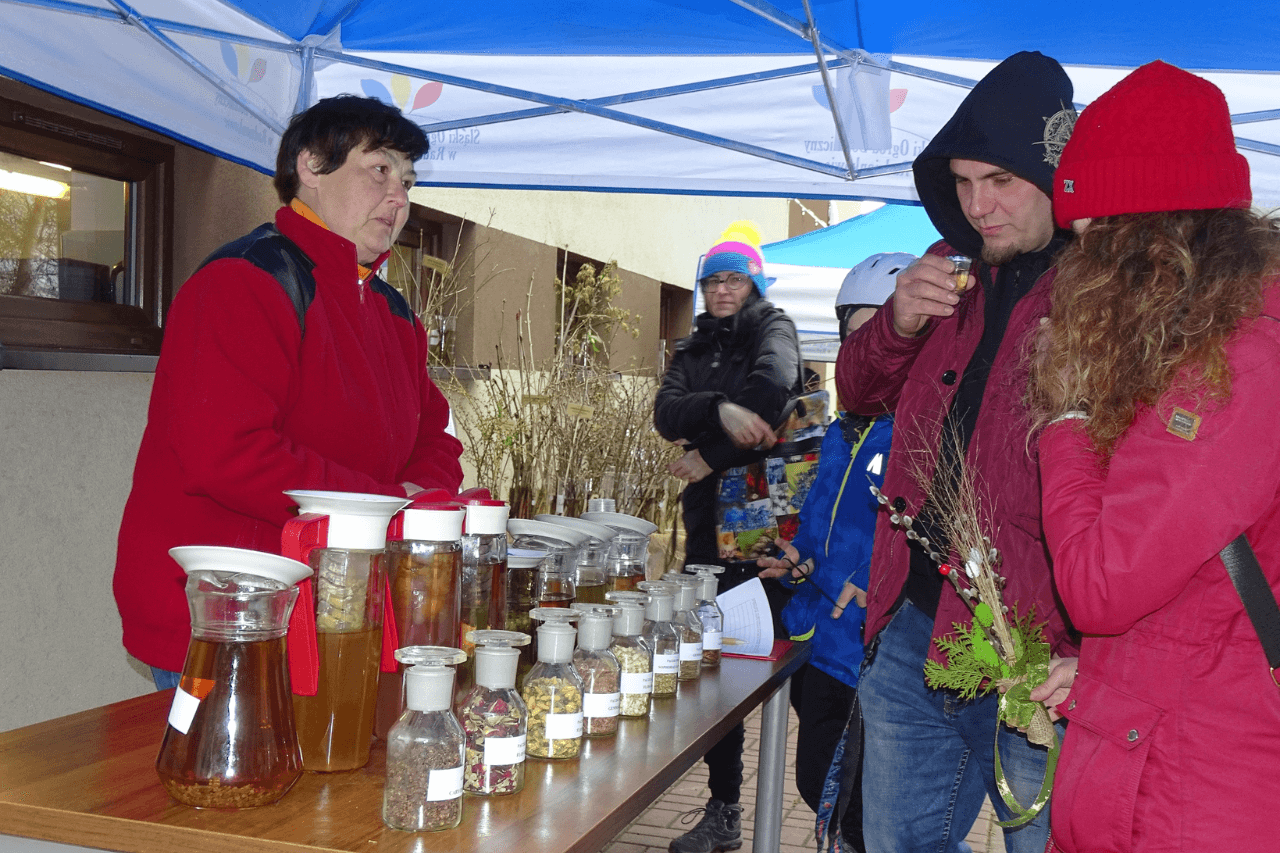 Śląski Ogród Botaniczny na wiosnę 2024