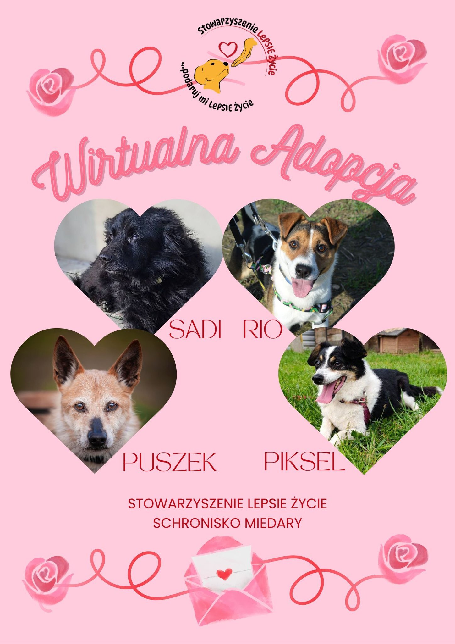 Walentynkowa edycja wirtualnej adopcji w Miedarach